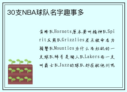 30支NBA球队名字趣事多